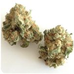 Шишки "White Widow"  (Белая вдова)  Гидропоника -  Бошка VHQ в Дигоре